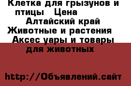 Клетка для грызунов и птицы › Цена ­ 1 400 - Алтайский край Животные и растения » Аксесcуары и товары для животных   